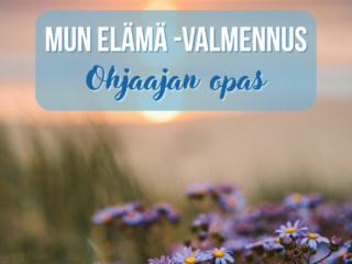 Oppaan kansi- ja taittosuunnittelu 2575854952
